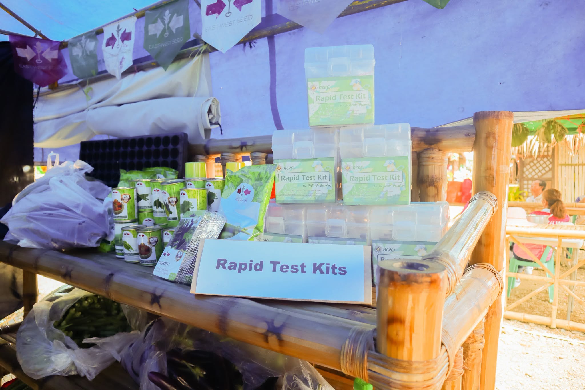 FROM FARM TO MARKET: GONZAGA GROWERS POST ₱44,105 SALES USING GAP-BASED VEGETABLE PRODUCTS photo 3